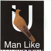 U (man Like) by Bon Iver