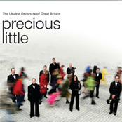 The Girl From Devizes by The Ukulele Orchestra Of Great Britain