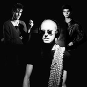 the neurotics