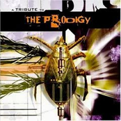 A Tribute To The Prodigy