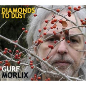 Gurf Morlix: Diamonds To Dust