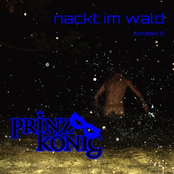 Nackt im Wald - kompakt 2