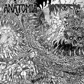 ANATOMIA / MORBIFIC