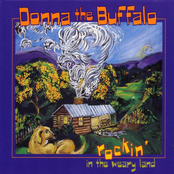 Donna the Buffalo: Rockin' In The Weary Land