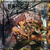 Uprise
