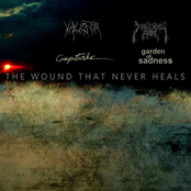 The Wound That Never Heals