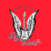 The Words We Wanna Hear