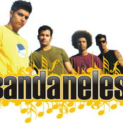 BANDANELES DEMONSTRATIVO