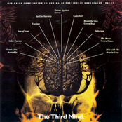 The Third Mind