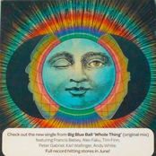 Whole Thing - Single