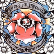 Fighting For The Cause