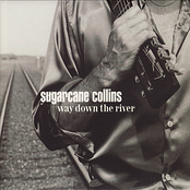 Shine The Light by Sugarcane Collins