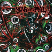 Scouting The Boneyard