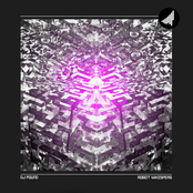 Dj Pound - Robot Whispers (STRTEP006)