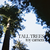 Tall Trees