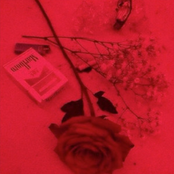 i wrote this song 4 u