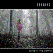 Alone in the depths (Demo 2005)