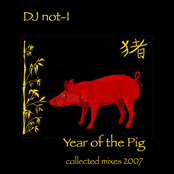 Year of the Pig (collected mixes 2007)