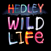 Pocket Full Of Dreams by Hedley