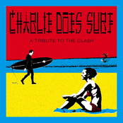 Kelp: Charlie Does Surf
