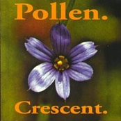 Freshly Broken by Pollen