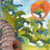 Whelks, Gourds, and Other Things Unfamiliar