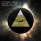 On The Run by Gov't Mule