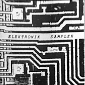 Elektronik Sampler