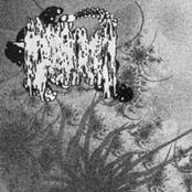 Stool Sample Experiments / Actiniaria