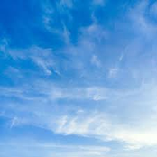 Black Nerd Collection No.3