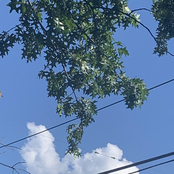 our hearts will break in due time, and the pieces will fall to the floor like shattered glass from my apartment window