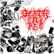 Death File Red: P95