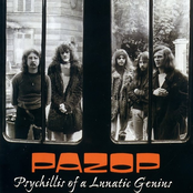 Psychillis of a Lunatic Genius