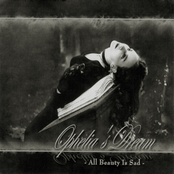 All Beauty is Sad (Re-release)