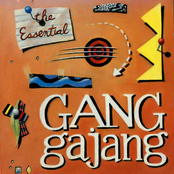 the essential ganggajang