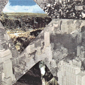 Deep Magic / Water Lily Jaguar