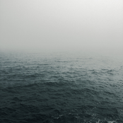Meditations on the Coming Flood