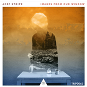 Images From Our Window