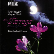 The Tárrega Transcriptions