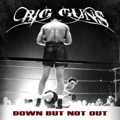 Big Guns: Down but Not Out