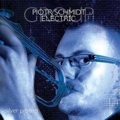 Piotr Schmidt Electric Group