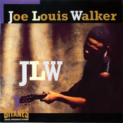 Alone by Joe Louis Walker