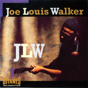 Inner City Man by Joe Louis Walker