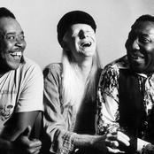 muddy waters, johnny winter & james cotton