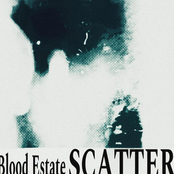 Scatter