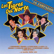 Ni Parientes Somos by Los Tigres Del Norte