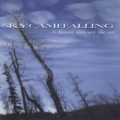 Skycamefalling: To Forever Embrace the Sun