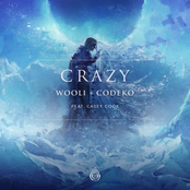 Wooli: Crazy (feat. Casey Cook)