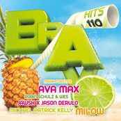 Bravo Hits 110