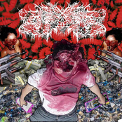 THE LIVELEAK CHRONICLEZ